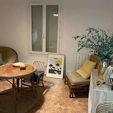 Feriehus Surf & House 250m Ocean + Foret Mimizan-Plage