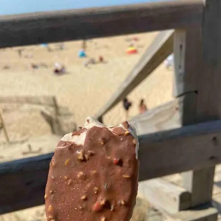 Surf & House 250m Ocean + Foret * Мимизан-Плаж