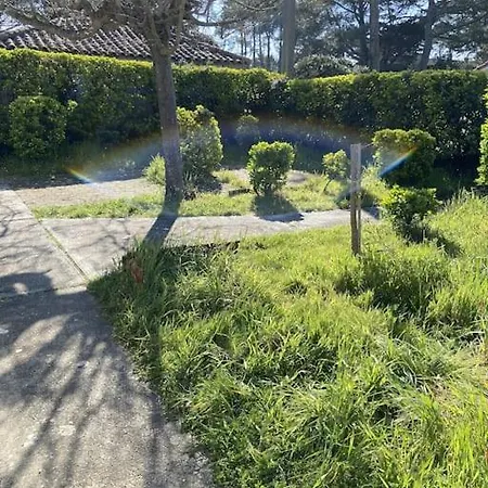 Surf & House 250m Ocean + Foret *